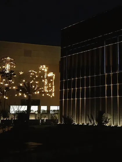 This shot shows the interplay between two different lighting features on the commercial property. The structured, linear lighting on the right contrasts with the artistic, custom light installation on the left wall.