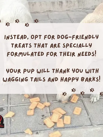 Instead of human treats, it's always best to opt for dog-friendly snacks that are specially formulated for their nutritional needs. Your pup will thank you!
