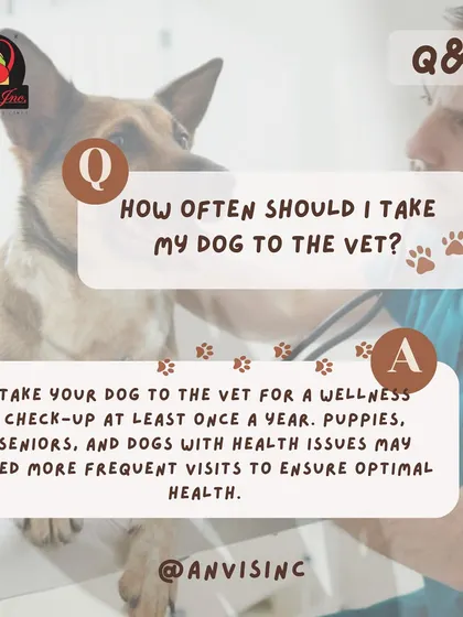 For optimal health, adult dogs should have a wellness check-up at the vet at least once a year. Puppies, seniors, and dogs with health issues may need more frequent visits.