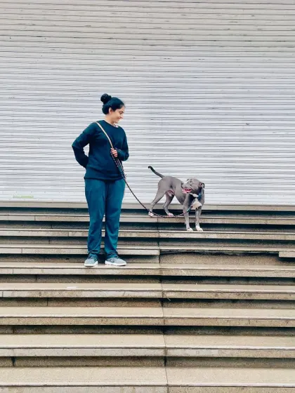 Kyro exploring the world with his new family. After being returned to us twice, finding the right, experienced home was critical. We are so grateful to his new parents for their commitment.