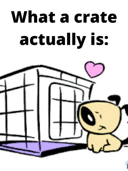 This is what a crate should be: a cozy den that your dog loves. My goal is to help you make the crate your dog's favorite place in the house.
