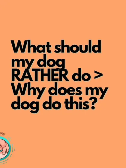This is a key shift in mindset I teach. Instead of just focusing on the problem behavior, we ask, "What would I rather my dog do?" This helps us focus on teaching the right choice.