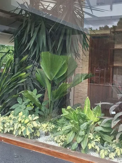 A view from the outside looking in at the completed indoor window sill garden. The reflection on the glass adds another layer of depth to the lush, tropical planting.