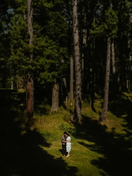 A drone's-eye view of a couple embracing in a sun-dappled clearing within a dense forest. The play of light and shadow creates a dramatic and romantic atmosphere for this destination shoot.