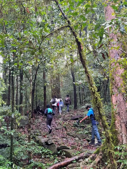 Our guide leading the way through the lush, dense jungles at the start of the Kumara Parvatha trek.