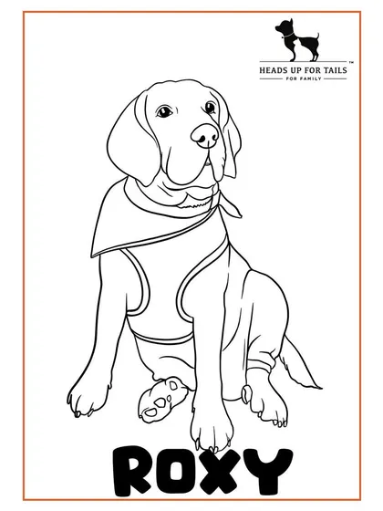 A black and white line art illustration of a Beagle, created for a live event at a pet shop. This clean style is great for coloring or as a standalone piece.