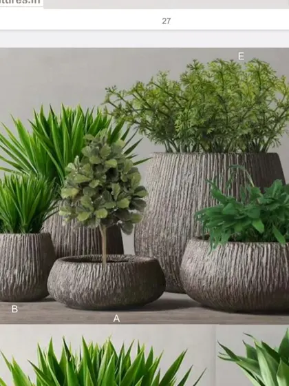 A set of five matching planters with a beautiful, textured bark-like finish. Grouping planters of different sizes but similar styles creates a cohesive and lush look.