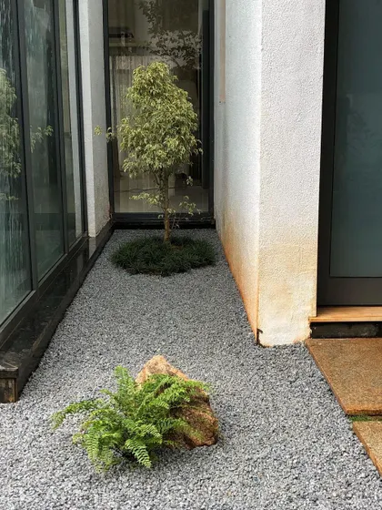 After clearing an overgrown area, we created this simple, Japanese-inspired dry garden. The clean lines of the gravel, ficus tree, and fern create a serene, meditative space.