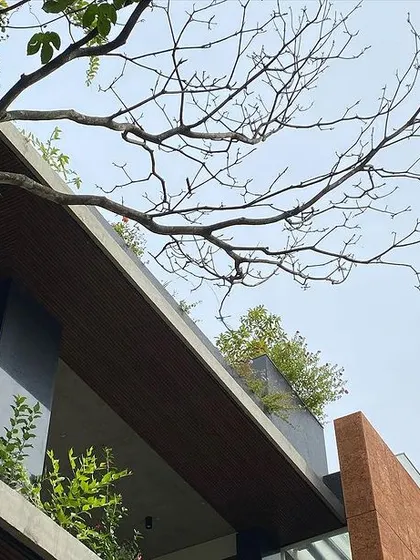 A low-angle shot 정부 the cantilevered roof and planters, showcasing the structural design that makes the home's green features possible.