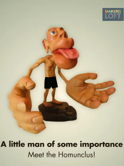The Homunculus concept shows why hands-on learning is so effective. Using our hands activates a large part of the brain, making learning stick.