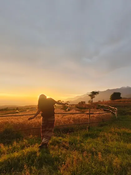 Soaking in a golden sunset in Bir, Himachal Pradesh. This serene, natural shot is from my solo travels and captures a feeling of peace and adventure.