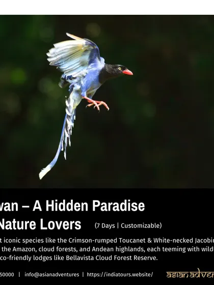 Our customizable 7-day tour to Taiwan is advertised here, showcasing the island as a hidden paradise for nature lovers. We explore cloud forests and highlands teeming with wildlife.