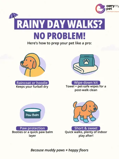 Rainy day walks are no problem with the right prep. A raincoat, a wipe-down kit, and paw protection can keep your pet comfortable and your floors clean.
