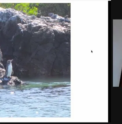 A parent volunteer and world traveler takes our children on a virtual trip to the Galápagos Islands. This travelogue brought our theme to life, sparking curiosity about different parts of the world.