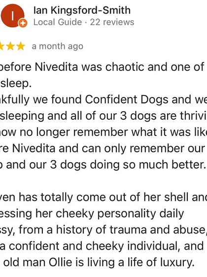 Ian's review highlights the transformation from a chaotic home to one where all three of their dogs, including one with a history of trauma, are now thriving and confident.