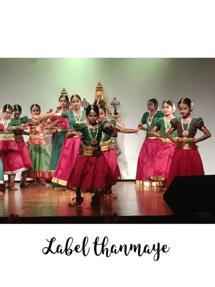 A clear view of the Bharatanatyam dance costumes, highlighting the design of the blouse and the traditional jewelry I helped coordinate.