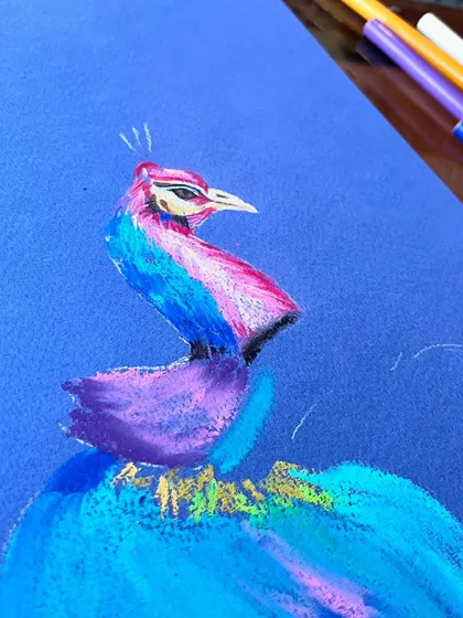 The beginning stages of the soft pastel peacock. I start by blocking in the main colors and shapes, focusing on the graceful curve of the neck and head.
