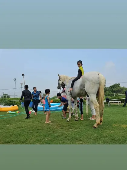 A wide shot of the horse bathing and pool party, showing a lively scene of family fun on the lawn.