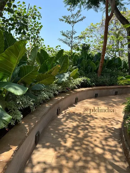 The play of shadows from the overhead tree canopy falls across the sun-drenched pathway and planters. I always consider how light will interact with the landscape throughout the day.