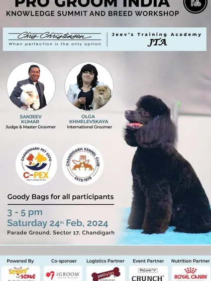 As a Judge and Master Groomer, I frequently participate in workshops like the Pro Groom India Knowledge Summit. Here, I shared the stage with international groomers to help train the next generation of professionals.