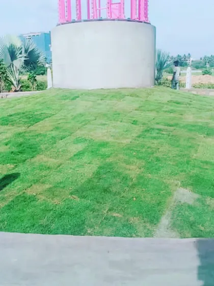 A sloped area covered in freshly laid Mexican grass mats.