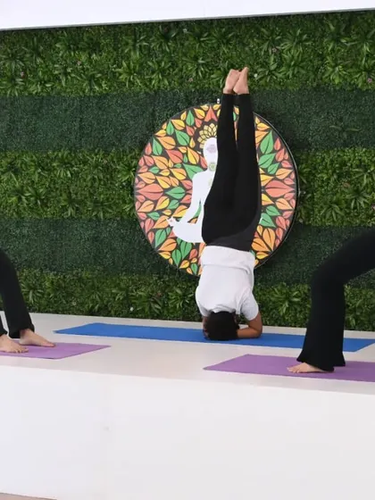 Three of our instructors showcase different advanced poses simultaneously: a headstand flanked by two wheel poses. This image is a testament to their individual skill and collective harmony.