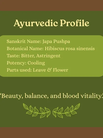 An Ayurvedic profile of Hibiscus, known as Japa Pushpa. We use its leaves and flowers for their cooling potency, which helps promote beauty, balance, and blood vitality.
