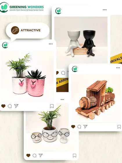 A selection of our most attractive and unique ceramic pots, from cute face planters to a rustic wooden train planter, perfect for any decor style.