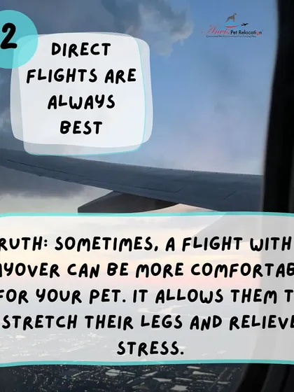 Myth: Direct flights are always best. Truth: Sometimes, a flight with a layover can be more comfortable, allowing your pet to stretch and relieve stress. We plan the safest and most comfortable route for your pet.