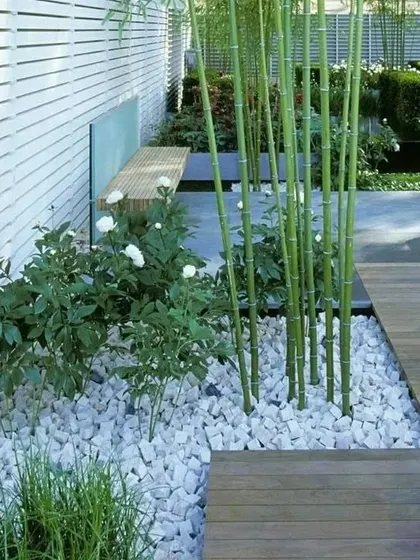 A beautiful example of a modern Zen garden. This design uses white pebbles, bamboo plants, a simple bench, and clean wooden decking.