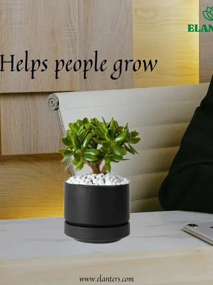 Reason 1: Plants help people grow. Gifting a plant is like gifting a journey of growth and care, making it a deeply meaningful present.