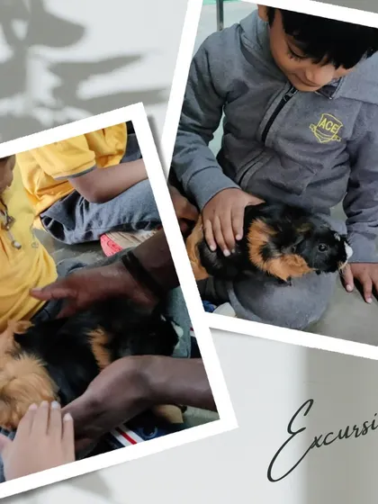 A child gently petting a guinea pig. These quiet, supervised moments with animals teach responsibility and gentleness.