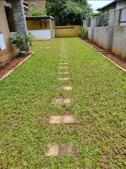 A newly laid lawn in a residential backyard with a simple stone stepper path. This shows a standard lawn installation project, focusing on creating a clean and usable green area for family activities.
