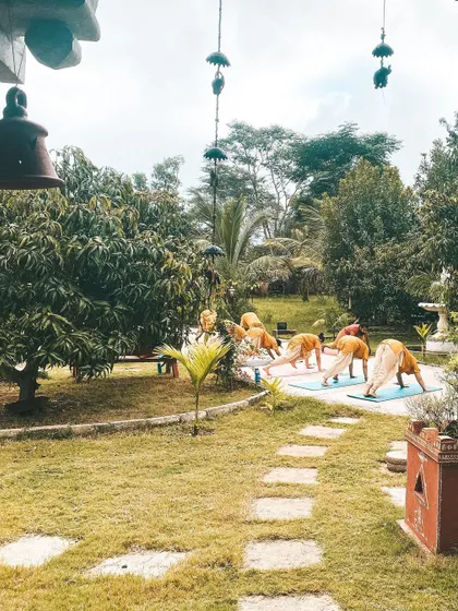 From our yoga shala, you can see students practicing Ardha Uttanasana (Half Standing Forward Bend) in the garden. The serene backdrop of mango trees and open sky makes every practice a communion with nature.