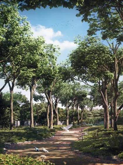 A tranquil 3D rendering of a forest path. This type of image is used to showcase natural walking trails or park-like settings within a larger development.