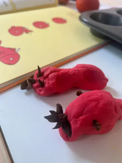 We made our own red playdough scented with cinnamon and nutmeg for an olfactory experience. Here, we are using star anise and cloves to decorate our playdough apples, inspired by a book.