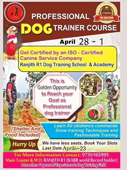 This is your golden opportunity to turn your passion for dogs into a professional career. Join my next Professional Dog Trainer Course at my ISO certified academy. Book your slot to learn everything from obedience commands to show training techniques.