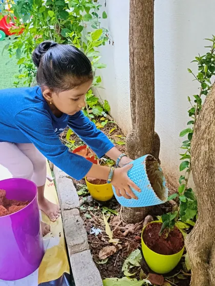 A young girl carefully planting a sapling on World Environment Day.
