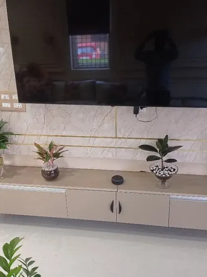 We also provide indoor plant solutions. Here, we've used hydroponic plants in glass vases to decorate a media console, adding a touch of green to the interior space with no soil and minimal maintenance.