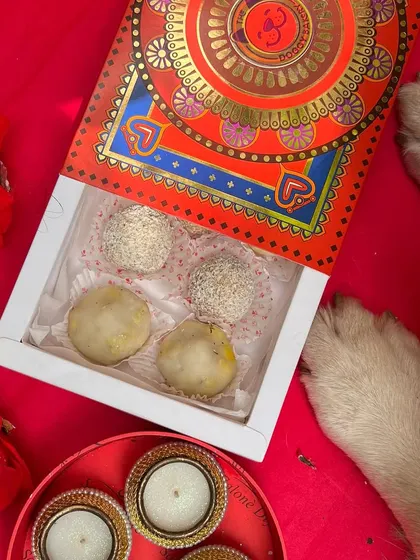 A curious pup inspects the festive box of modaks and ladoos. We believe celebrations are for everyone, paws included.