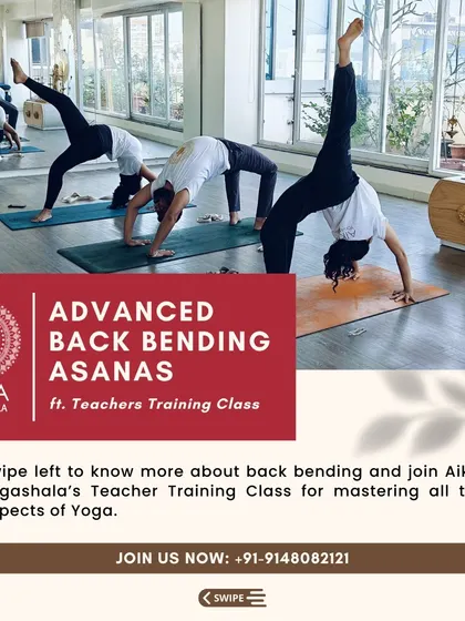An overview of our Advanced Back Bending Asanas module in the TTC. This graphic serves as an invitation to master all aspects of yoga with us.