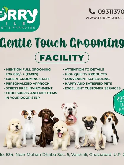 Our Gentle Touch Grooming facility offers a personalized, stress-free approach with expert staff. This package includes a full groom, high-quality products, and attention to detail for a happy pet.