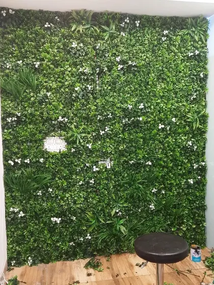 An artificial vertical garden installed in a small nook at Radiance Hair Studio in Rajouri Garden. It turns a simple corner into a stylish feature.