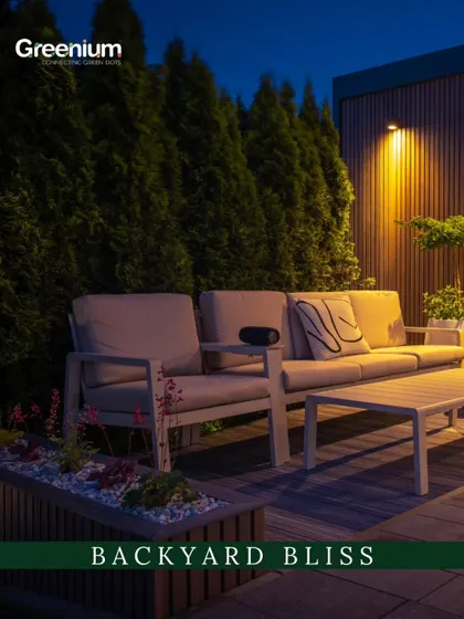 Designing landscapes that make your home shine. This image shows a beautiful backyard at night, with a comfortable seating area on a wooden deck, surrounded by illuminated trees and plants.