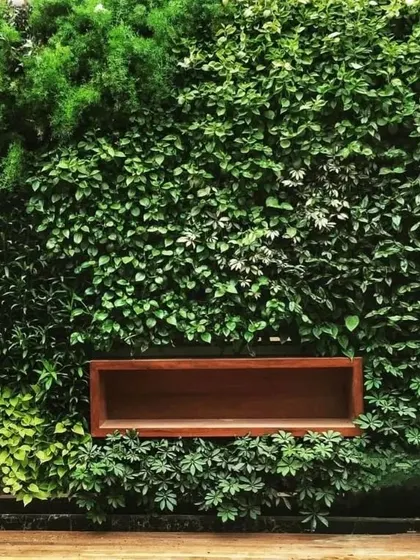 This is a living wall I created, a vertical garden that acts as a piece of natural art. It's not just visually stunning; it also improves air quality, making it perfect for both exterior and interior spaces.