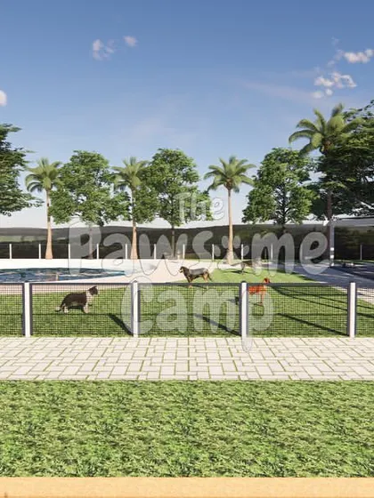 This architectural rendering shows the different zones of our camp, from the pool to the agility area.