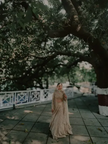 A wide shot of the bride walking under a large tree, creating a sense of grandeur and nature.
