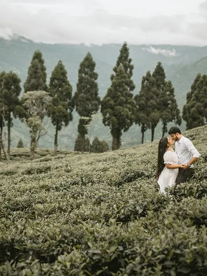 An epic, wide-angle shot of a couple embracing in the middle of a lush Darjeeling tea garden. The rolling hills and rows of trees create a breathtaking backdrop for their love story.
