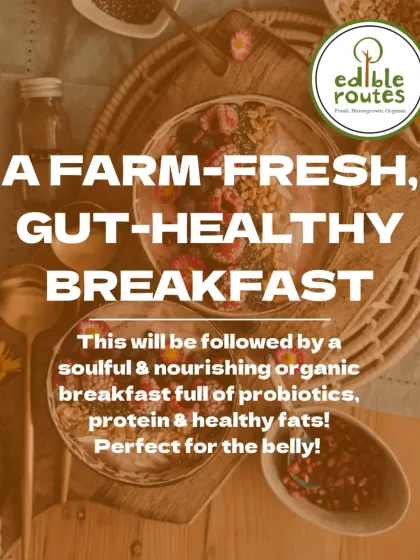 After a rejuvenating yoga session, we serve a soulful and nourishing organic breakfast full of probiotics, protein, and healthy fats. Perfect for your belly!