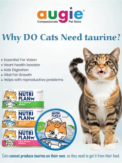 Did you know cats can't produce taurine on their own? It's an essential nutrient for their vision, heart health, and digestion. That's why I stock foods like Nutriplan, which are rich in taurine to ensure your cat gets what they need.